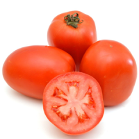 imagem de TOMATE ITALIANO KG