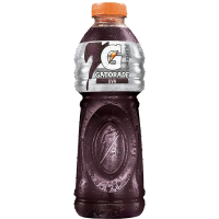 imagem de GATORADE UVA 500ML