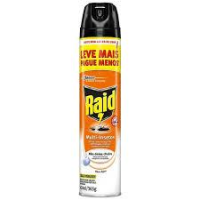 imagem de RAID AEROSOL MULTI INSETOS AQUA 420 ML